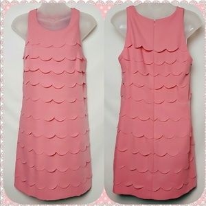 White House black market scallop shift dress